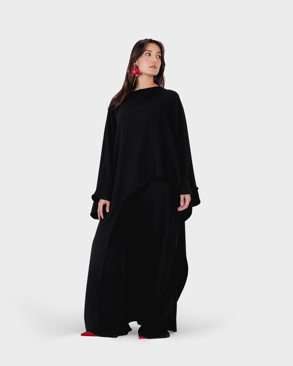 Asymmetric Top in Black