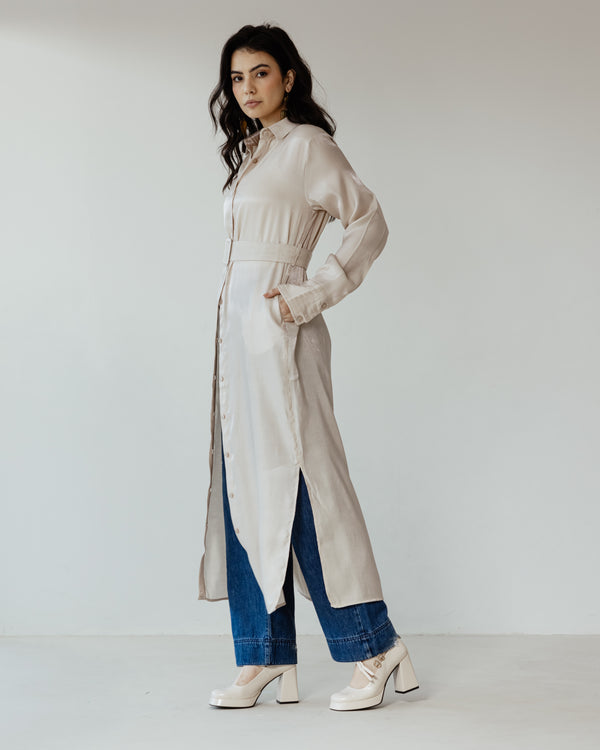 Shimmer Shirtdress in Beige