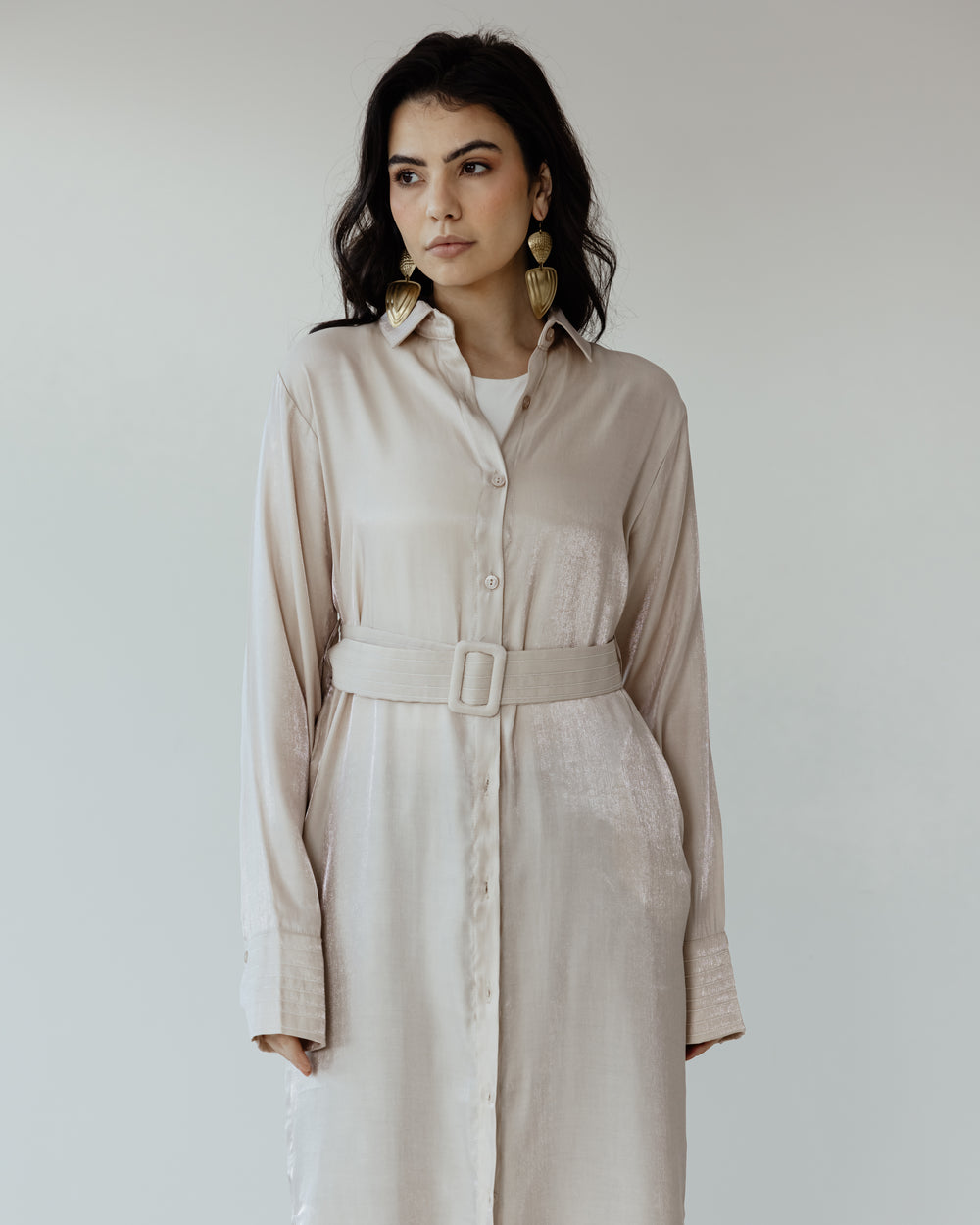 Shimmer Shirtdress in Beige
