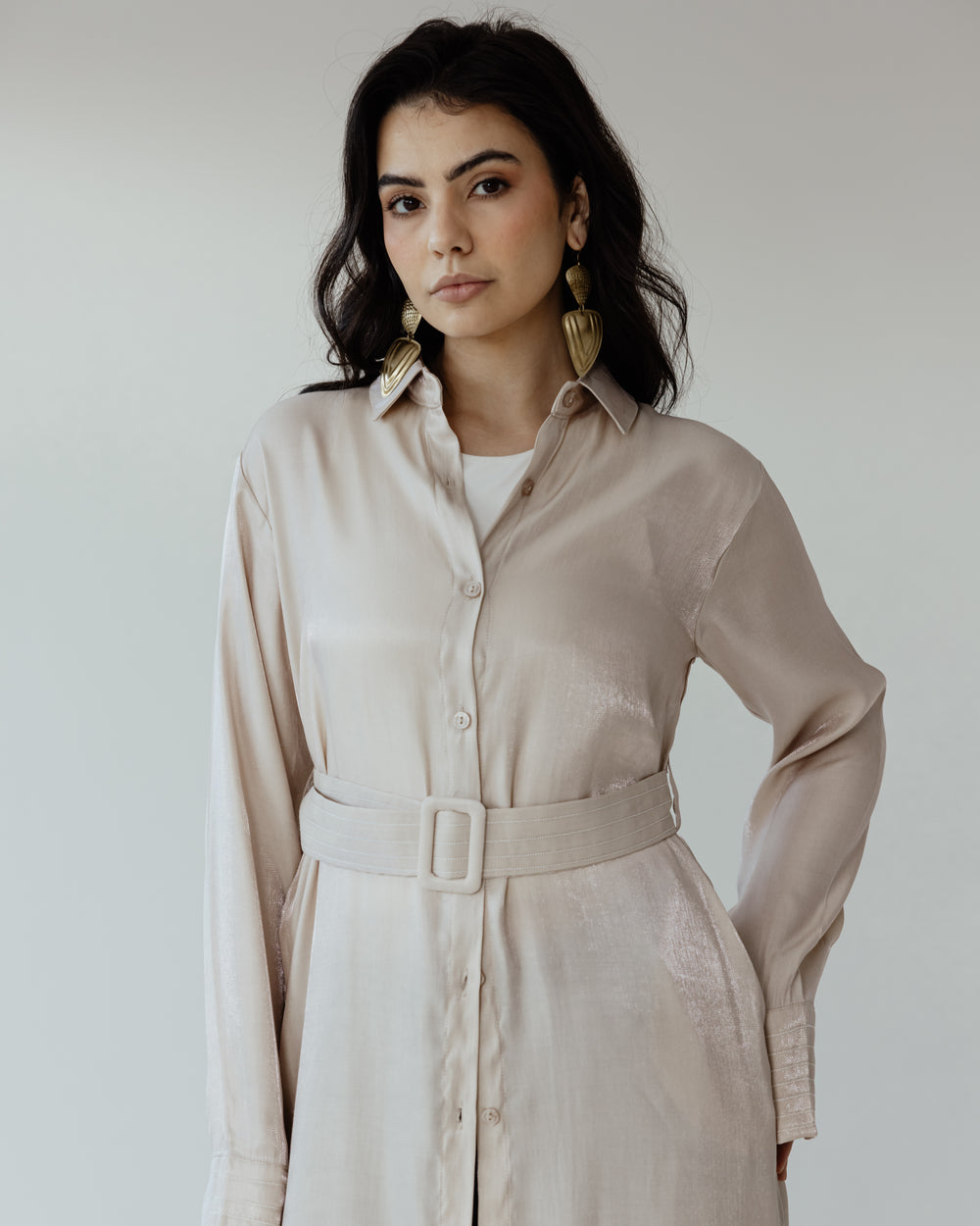 Shimmer Shirtdress in Beige