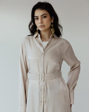 Shimmer Shirtdress in Beige