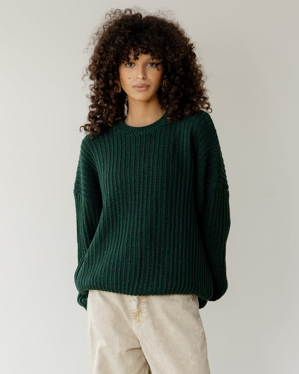 Knit Sweater in Green