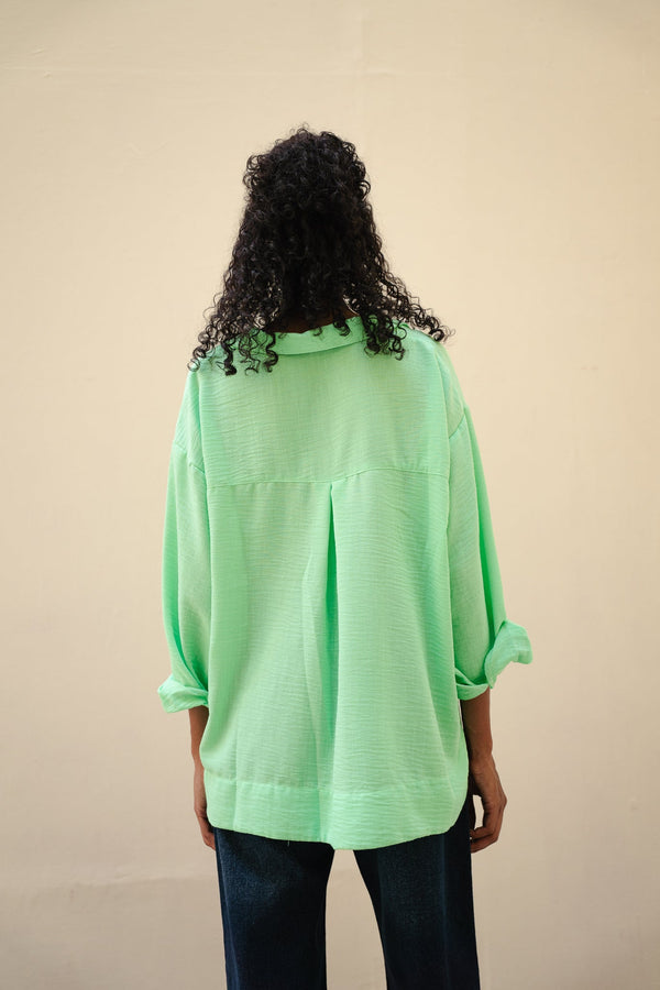 Polo Collar Linen Blouse Apple Green