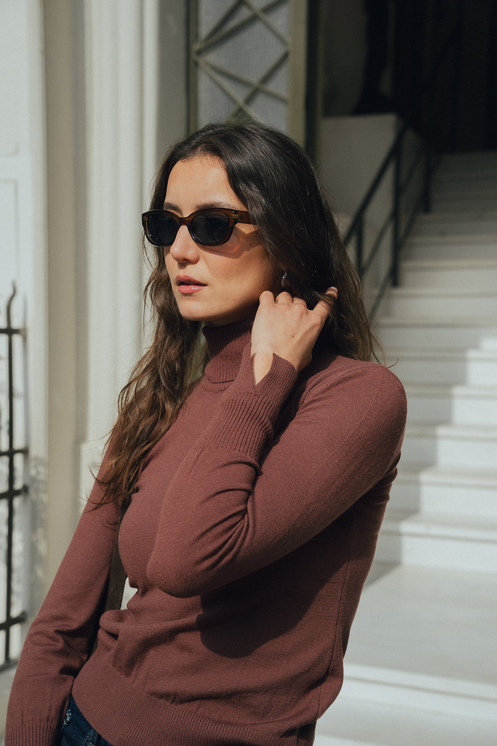 Turtle Neck in Brown